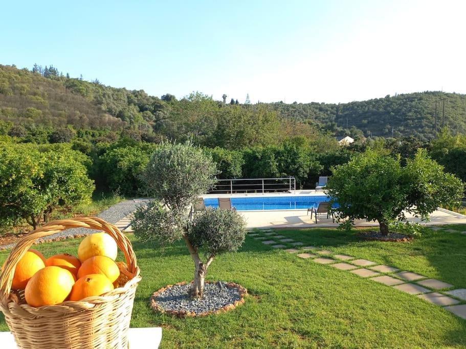 Casa Citrus Limao - Between The Hills & The Ocean Silves Buitenkant foto