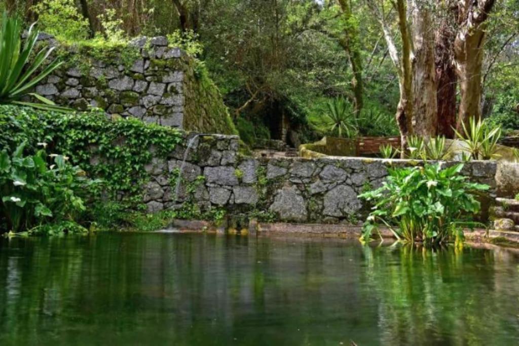 Casa Citrus Limao - Between The Hills & The Ocean Silves Buitenkant foto