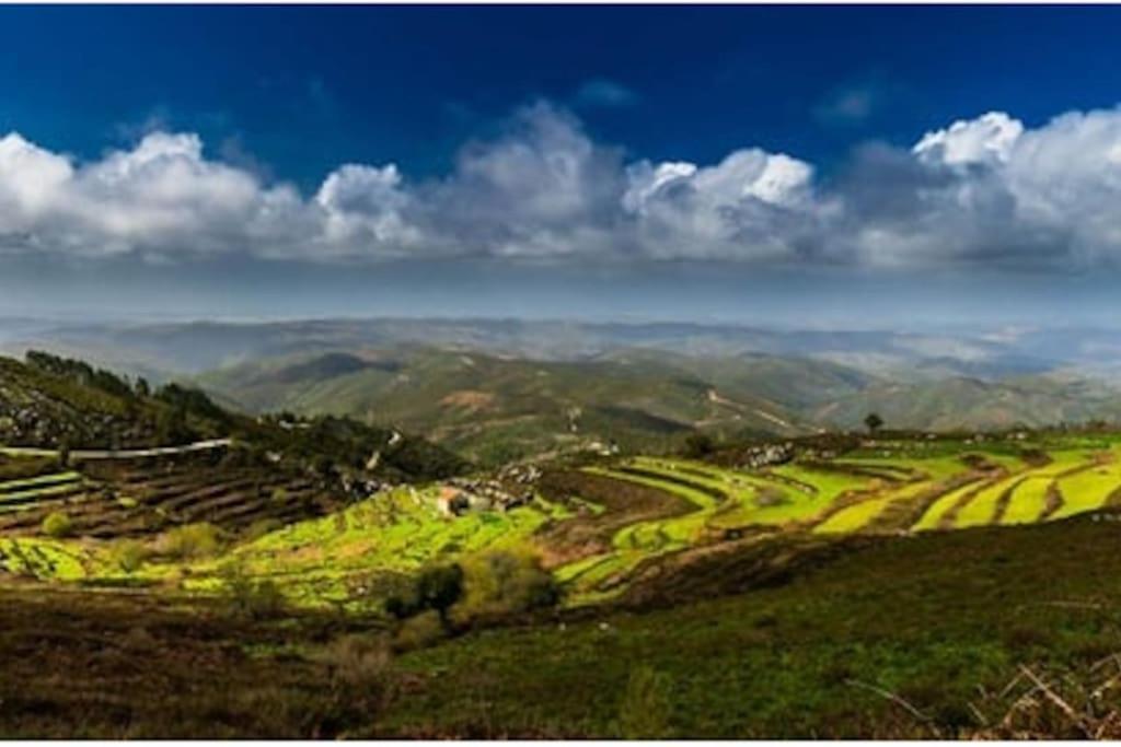 Casa Citrus Limao - Between The Hills & The Ocean Silves Buitenkant foto